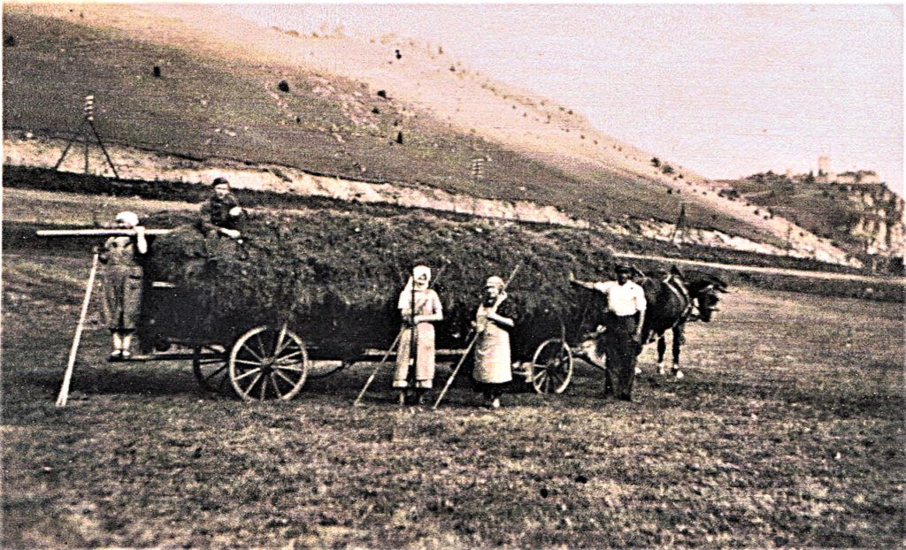 Familie Weigert bei der Heuernte 1939 in den Vilswiesen Kallmünz